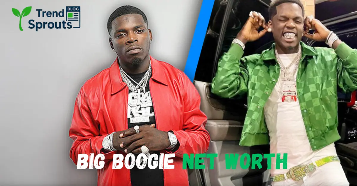 big boogie Net Worth
