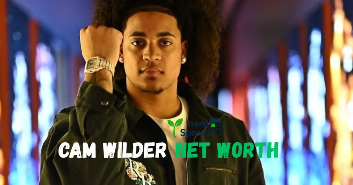 cam wilder net worth