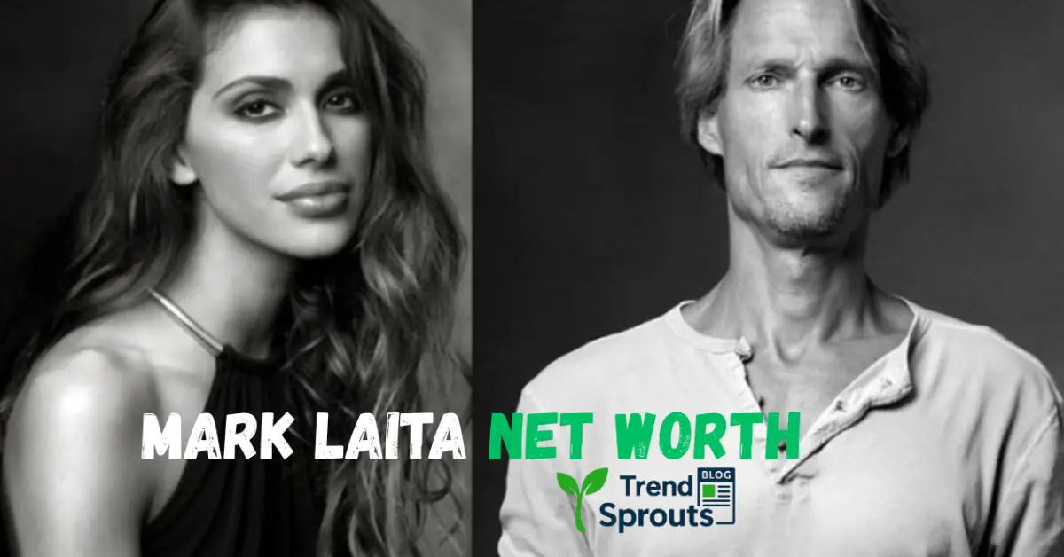 mark laita net worth