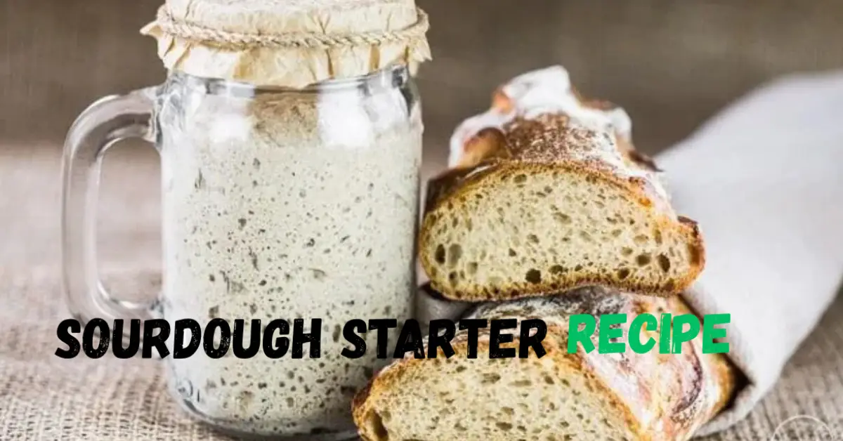 sourdough starter recipe