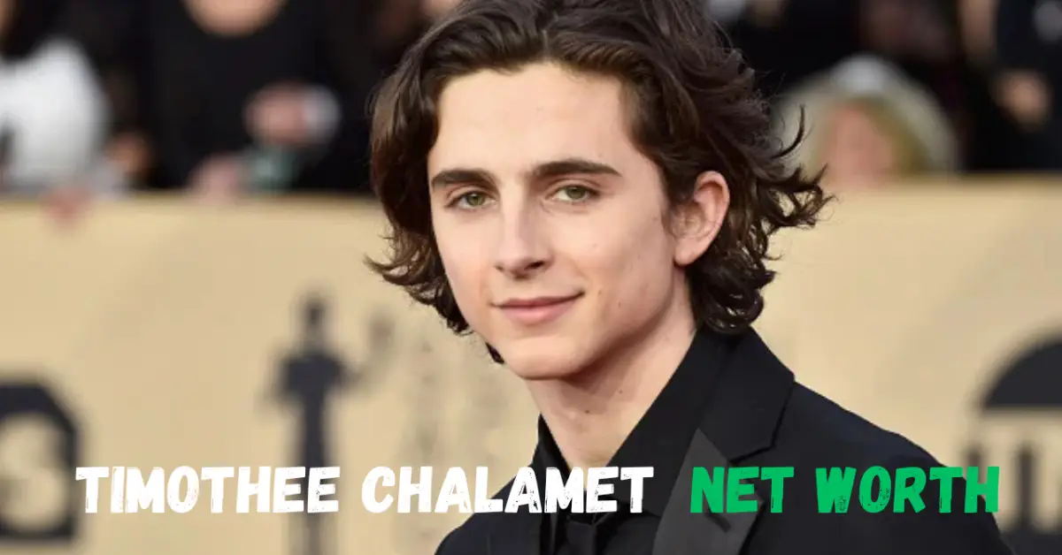 timothee chalamet net worth