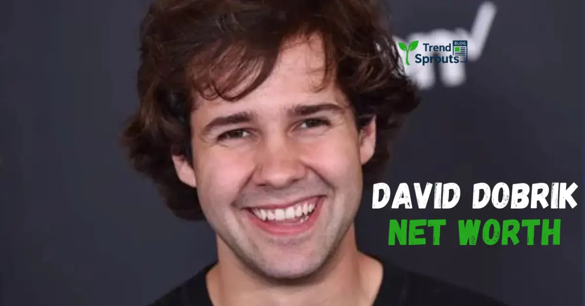 david dobrik net worth