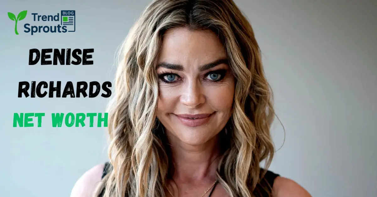 denise richards net worth