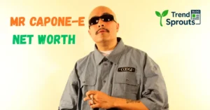 mr capone-e net worth